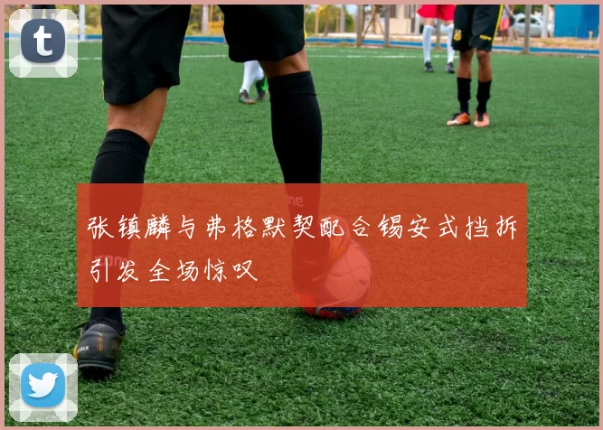 张镇麟与弗格默契配合锡安式挡拆引发全场惊叹