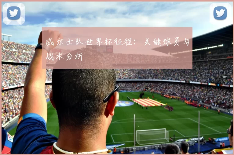 威尔士队世界杯征程：关键球员与战术分析