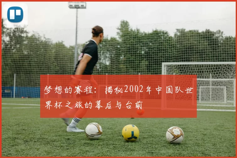 梦想的赛程:揭秘2002年中国队世界杯之旅的幕后与台前