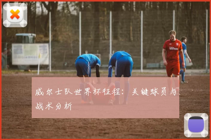 威尔士队世界杯征程：关键球员与战术分析
