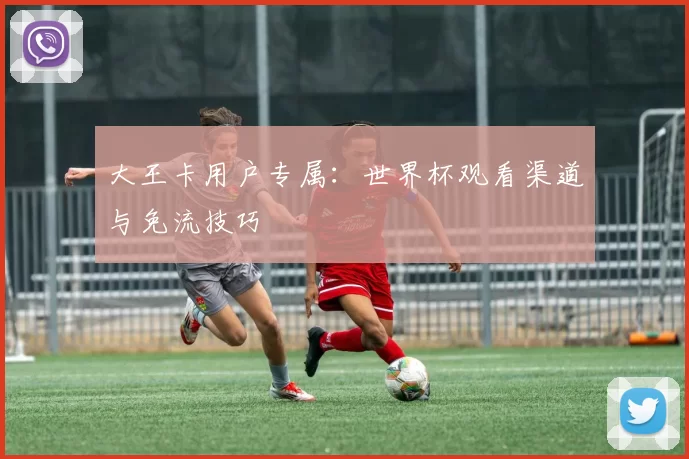 大王卡用户专属：世界杯观看渠道与免流技巧