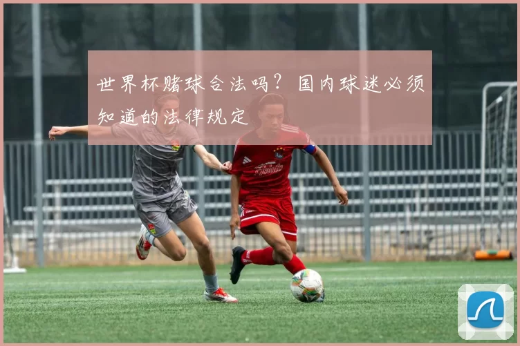 世界杯赌球合法吗？国内球迷必须知道的法律规定