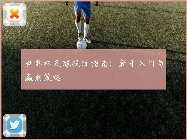 世界杯足球投注指南：新手入门与赢利策略