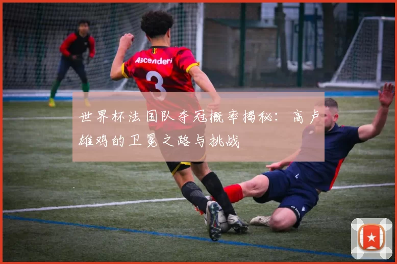 世界杯法国队夺冠概率揭秘：高卢雄鸡的卫冕之路与挑战