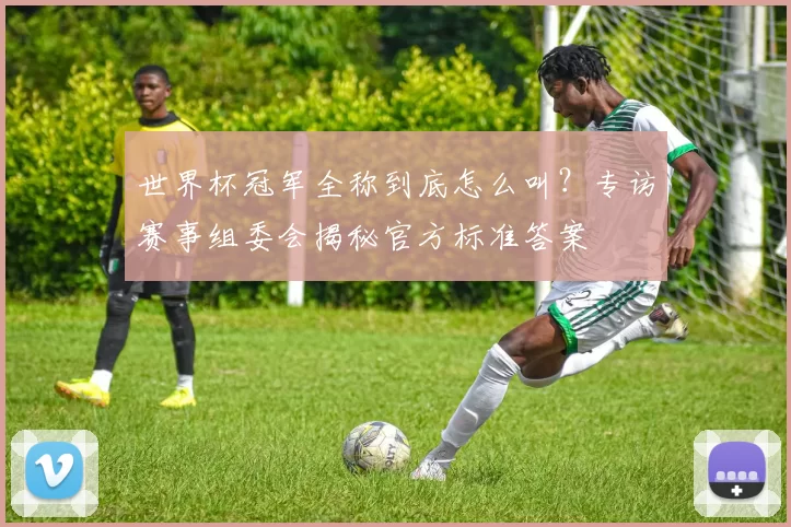 世界杯冠军全称到底怎么叫?专访赛事组委会揭秘官方标准答案