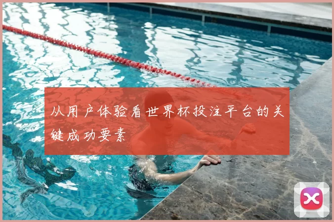 从用户体验看世界杯投注平台的关键成功要素